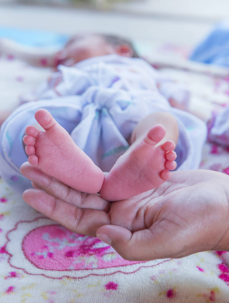 Baby feet in mother hands. Mom and her Child. Happy Family concept. Beautiful conceptual image of Maternity. - Photo, Image