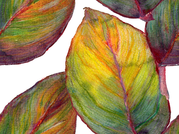Watercolor Seamless Pattern. - Photo, Image