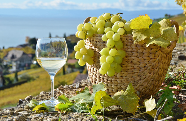 Wineglass and basket of grapes. Lavaux region, Switzerland - Photo, Image