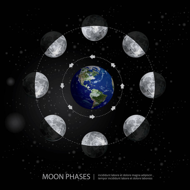 Movements of the Moon Phases Realistic Vector Illustration - Vector, Image