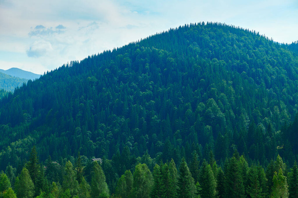 Vahşi doğa, Karpatlar 'daki yaz manzarası, kır çiçekleri ve çayırlar, tepelerdeki yaylalar, güzel bulutlu gökyüzü - Fotoğraf, Görsel