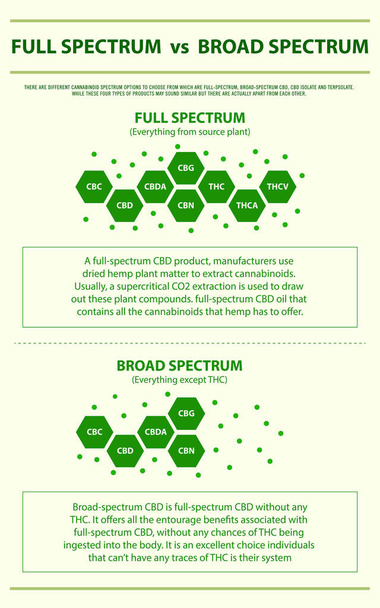 Espectro Completo vs Espectro Amplo ilustração infográfica vertical sobre cannabis como fitoterapia alternativa e terapia química, saúde e vetor de ciência médica
. - Vetor, Imagem