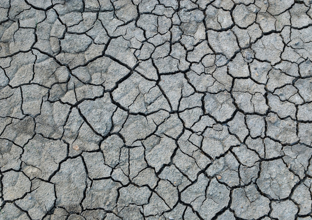 dry soil - Photo, Image