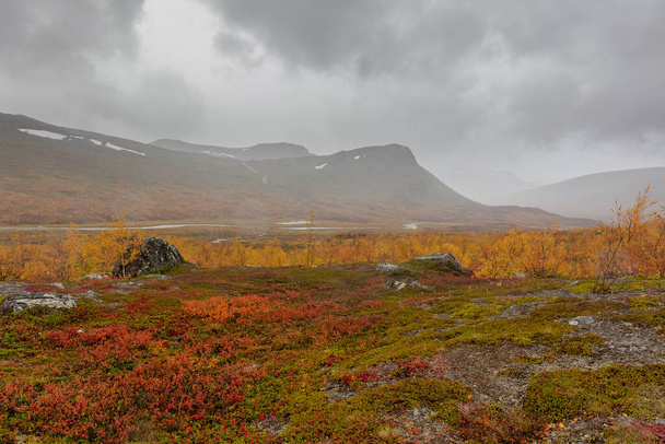 Sarek National Park in Lapland view from the mountain, Sweden, selective focus - Zdjęcie, obraz