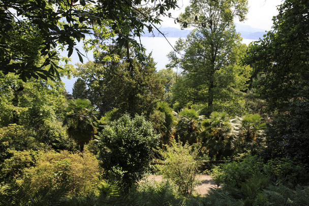 Stresa (Vco), Italien - 2. Juni 2018: Garten der Villa Pallavicino, Stresa, Verbano-Cusio-Ossola, Piemont, Ital - Foto, Bild