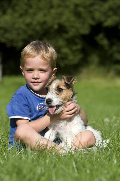 Menino com um cão Fox Terrier Cabelo de Arame, Filhote de cachorro em pé no gramado
   - Foto, Imagem