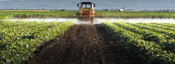 Traktor rozprašuje pesticidy na rostlinném poli postřikovačem na jaře - Fotografie, Obrázek