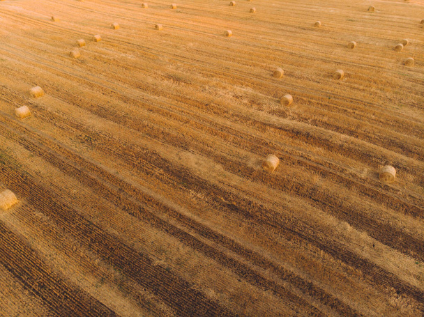 Hava manzaralı gün batımı tarlası sonbahar hasat zamanı saman yığını - Fotoğraf, Görsel