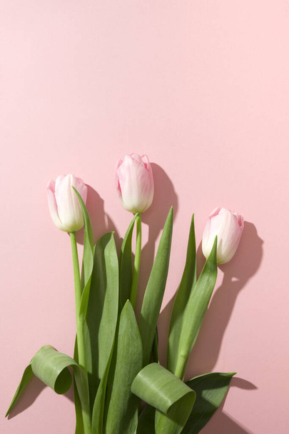 Bouquet von rosa Tulpen mit sonnigem Schatten auf pastellrosa. Ansicht von oben. Frohe Feiertage. Glückwunschkarte zum Muttertag oder romantischen Jahrestag. Vertikales Format. - Foto, Bild