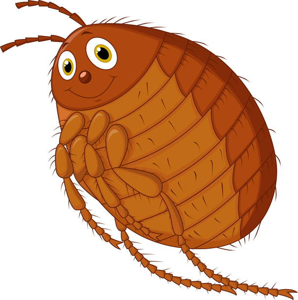 Caricatura de pulgas
 - Vector, Imagen