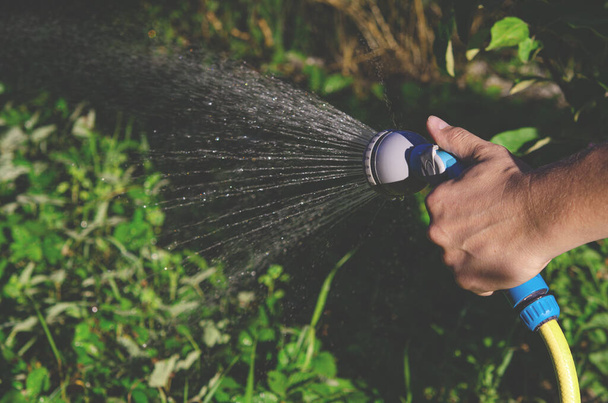 Bahçıvanlık. Bahçe sulayan bir adamın eli yatağı bitkilerle sulayabilir. Yaz Sıcağı - Fotoğraf, Görsel