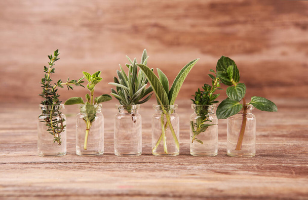 Homegrown and aromatic herbs in glass. Set of culinary herbs. Green growing sage, oregano, thyme, mint and oregano. - Φωτογραφία, εικόνα