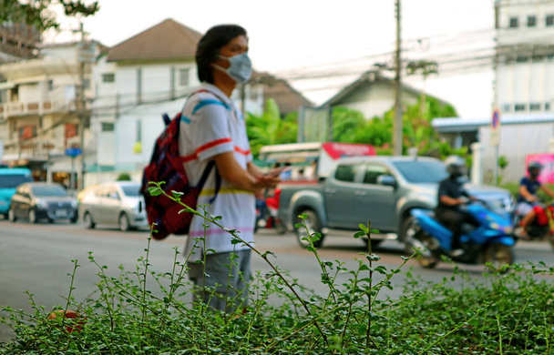 Nahaufnahme grüne Blätter mit verschwommenem Mann mit Gesichtsmaske, der sich vor Luftverschmutzung schützt - Foto, Bild