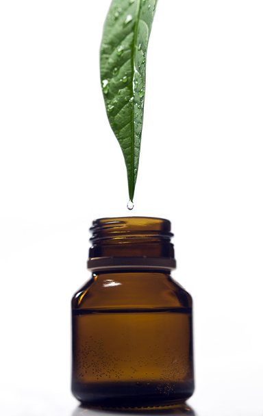 Herbal Medicine - Photo, image