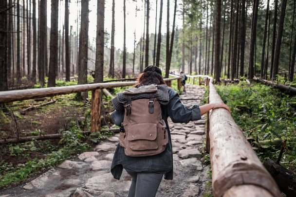 kobieta turysta spacerując kamiennym szlakiem w lesie z plecakiem - Zdjęcie, obraz