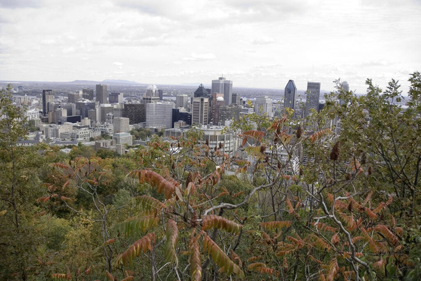 Krajobraz Montrealu jesienią. - Zdjęcie, obraz