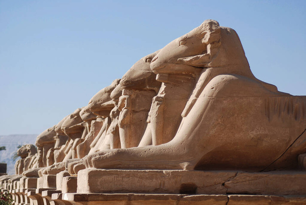 Karnak Tapınağı 'nda koç başlarının yanı sıra Mut Bölgesi, Amun-Re Bölgesi ve Luxor Tapınağı' nı birbirine bağlayan birkaç tanrıça ve keçi başlı sfenlerle salıncakta sallan.. - Fotoğraf, Görsel