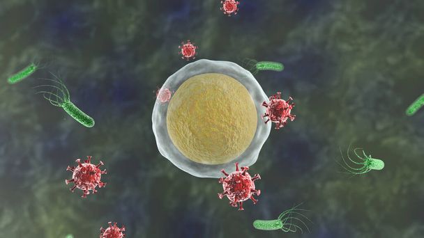 3D-рендеринг клітини, яка піддається нападу вірусів. Ідея імунітету, боротьби за життя тіла. Коронавірус в дії. Медичне тло, мікроорганізми. - Фото, зображення