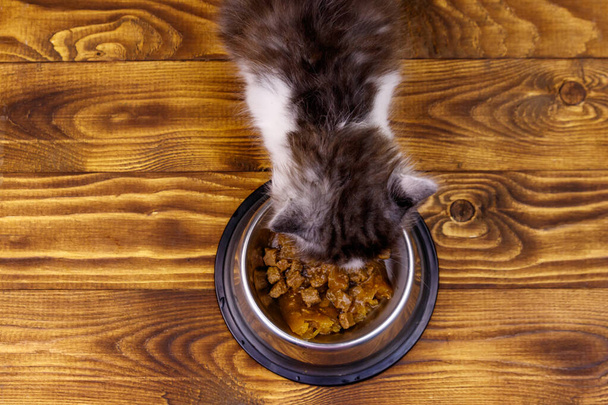 Pequeño gatito comiendo su comida del cuenco de metal en el suelo de madera
 - Foto, Imagen