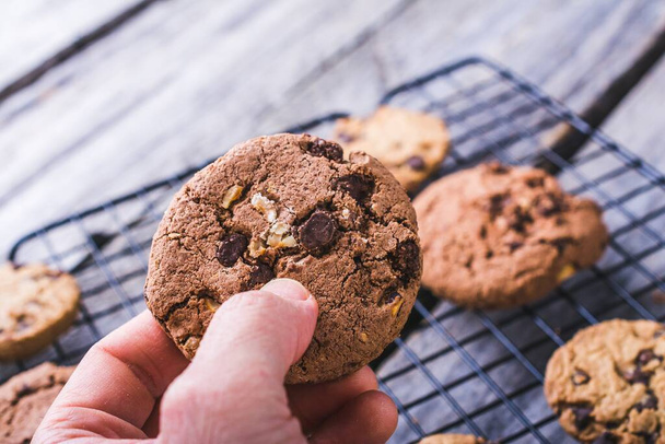 A closeup shot of a person holding a chocolate chip cookie on a blurred background - Zdjęcie, obraz