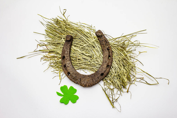 Cast iron metal horseshoe on hay, isolated on white background. Felt clover leaf, Good luck symbol, St.Patrick's Day concept, horse accessories - Photo, Image