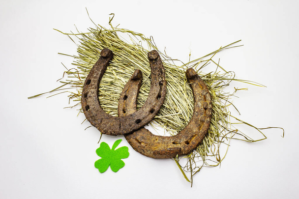 Cast iron metal horseshoes on hay, isolated on white background. Felt clover leaf, Good luck symbol, St.Patrick's Day concept, horse accessories - Photo, Image