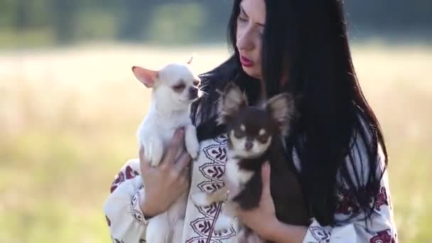 Жінка тримає двох маленьких собак на руках на відкритому повітрі
. - Кадри, відео