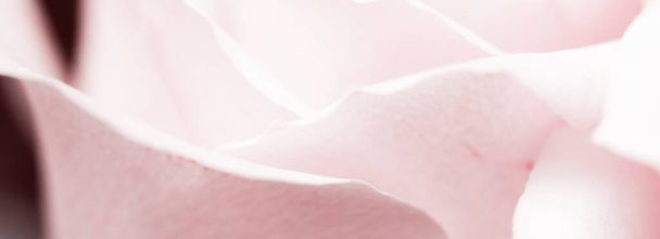 Virágzó rózsa - Virágok, esküvő és botanikai koncepció virágos művészet és szépség a természetben vagy nyaralás háttér banner luxus márka design - Fotó, kép