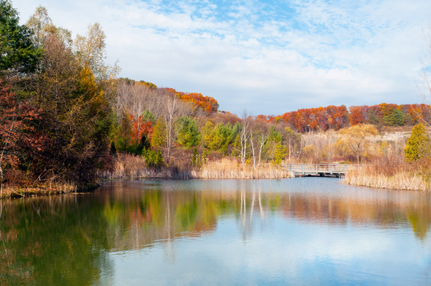 秋のハイキング ルートの池の反射 - 写真・画像