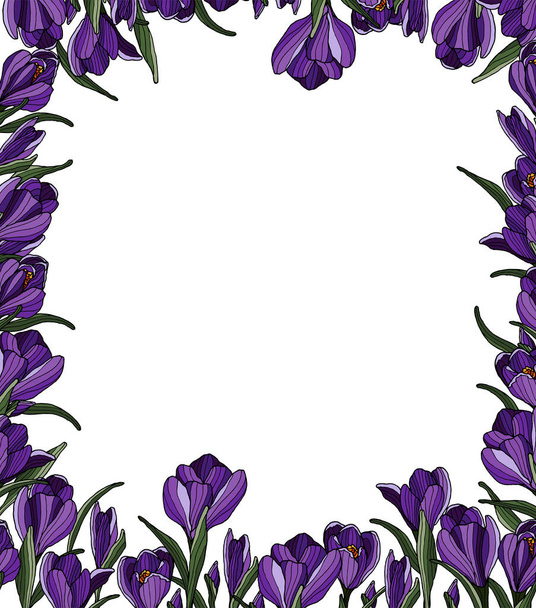 Floral frame. Vector decorative frame. Design with springtime crocus flower. Decorative element.  - Vettoriali, immagini