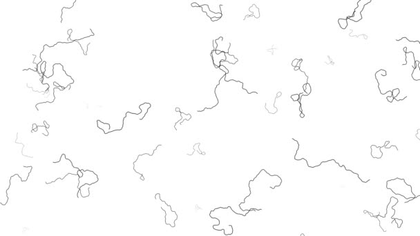 Random Walk Algorithm Scribble Frame Gedeeltelijke Vulling Animatie - Video