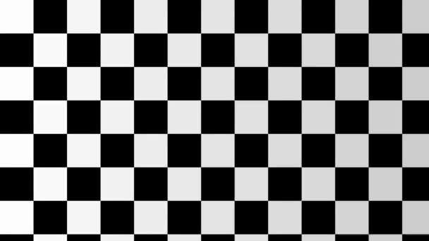Různé typy posunutí šachovnice Průhledné mřížky Odhalení šachovnice - Záběry, video