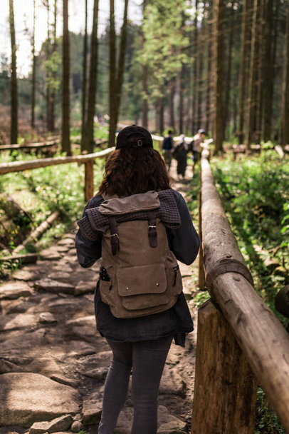 senderista mujer caminando por el camino de piedra en el bosque con mochila - Foto, Imagen
