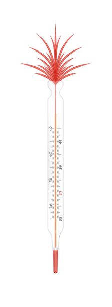 Kaputtes Thermometer - Vektor, Bild
