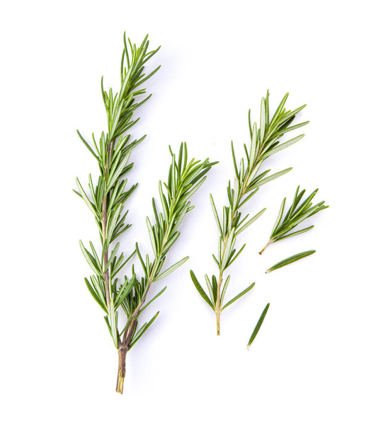 fresh rosemary isolated on white background. Top view - Photo, Image