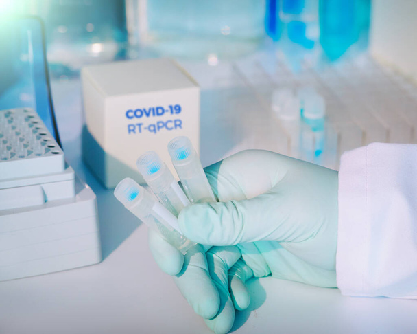 Test kit to detect novel COVID-19 coronavirus in patient samples. RT-PCR kit reagents convert viral Covid19 RNA to DNA and amplify specific region of 2019-nCov. Hand in glove holding test tubes. - Fotó, kép
