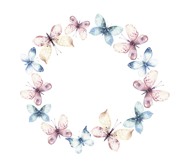 Watercolor colorful butterflies, isolated on white background. blue, yellow, pink and red butterfly spring illustration. - Foto, afbeelding