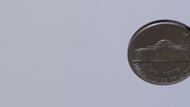 Монета USD номиналом 5 центов вращается на белом фоне - Кадры, видео