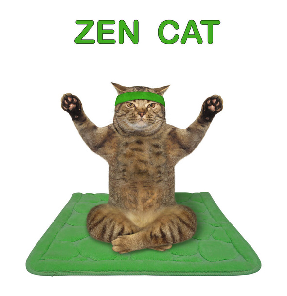 Бежевый кот спортсмен в спортивной ободке делает упражнения йоги на зеленом коврике фитнес. Белый фон. Isolated
. - Фото, изображение