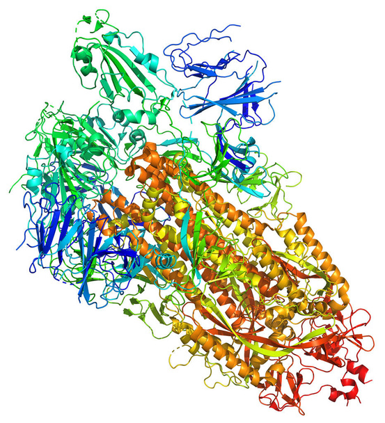 3D-Struktur des Coronavirus 2019-ncov, ein Angriffsziel für Impfstoffe gegen Covid-19. Pdb 6vsb - Foto, Bild
