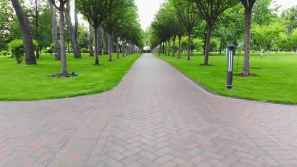 Moving forward on a cobblestone walkway in a park. - Footage, Video