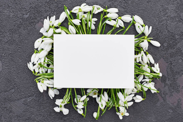 Cartão de saudação com snowdrop em fundo preto e cinza. Tender branco snowdrop flores buquê background.Postcard modelo para o dia da mãe e dia das mulheres
. - Foto, Imagem