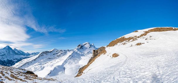 Wide parnoramic view of snow covered Swiss Alps from First mountain in Grindelwald ski resort, Switzerland - Fotoğraf, Görsel
