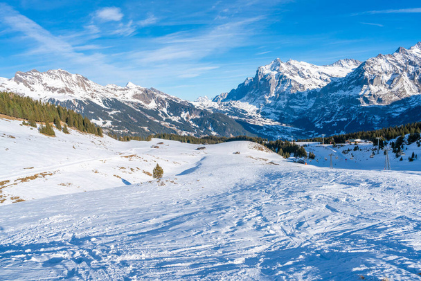 Winter landscape with snow Swiss Alps from Mannlichen mountain in Grindelwald ski resort. Winter in Switzerland - Foto, afbeelding