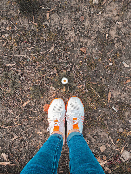 dvě nohy v bílých teniskách na pozadí heřmánku, chránit životní prostředí, stojí na zelené trávě - Fotografie, Obrázek