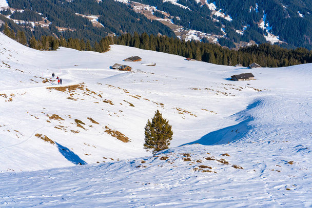 Winter landscape with snow Swiss Alps from Mannlichen mountain in Grindelwald ski resort. Winter in Switzerland - Foto, afbeelding
