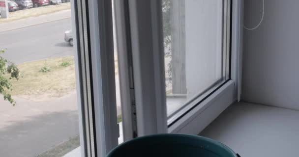 Young woman is washing the window at home - Video, Çekim