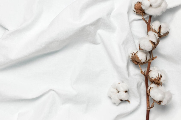 Düz düz beyaz kumaşın üzerine güzel pamuk dalları serilmişti. Doğal pamuk dokusu. Narin beyaz pamuk çiçekleri. Açık renkli pamuk arka plan. Eko tekstil. Kumaş arkaplan - Fotoğraf, Görsel