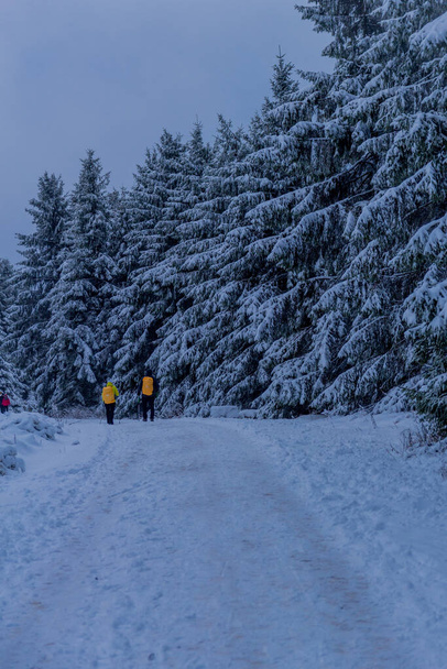 Primeira pequena caminhada de inverno ao longo do Rennsteig através da Floresta Turíngia - Schneekopf / Alemanha
 - Foto, Imagem