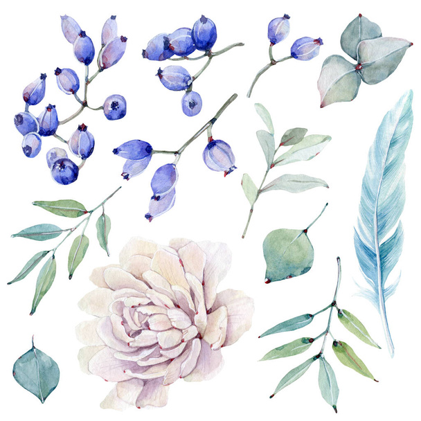 watercolor leaves collection. It's perfect for cards, patterns, flowers compositions, frames, wedding cards and invitations. - Foto, afbeelding
